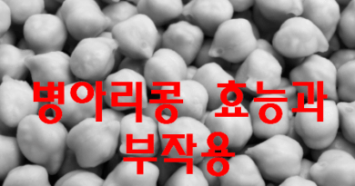 최신 병아리콩 효능과 부작용 설명