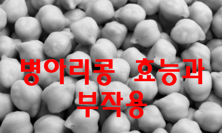최신 병아리콩 효능과 부작용 설명
