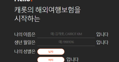 이번 해외여행은 캐롯 여행자보험을 추천