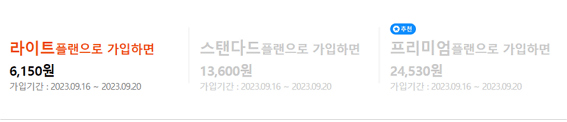 캐롯 여행자 보험 구분