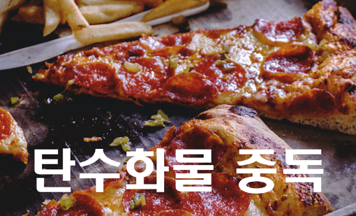 귀하신 몸 - 탄수화물 중독 및 예방법