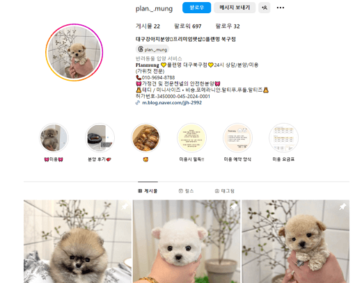 대구 북구 강아지분양 플랜멍 인스타그램 바로가기