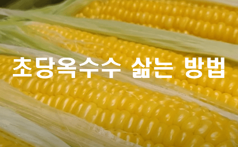 맛있는 초당옥수수 제대로 찌는 법