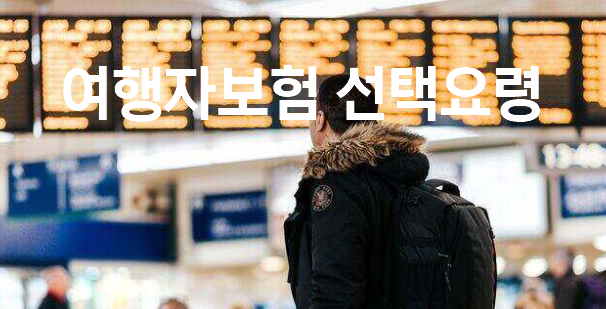 여행자보험은 이제 필수 입니다. (필요성과 실제사례)