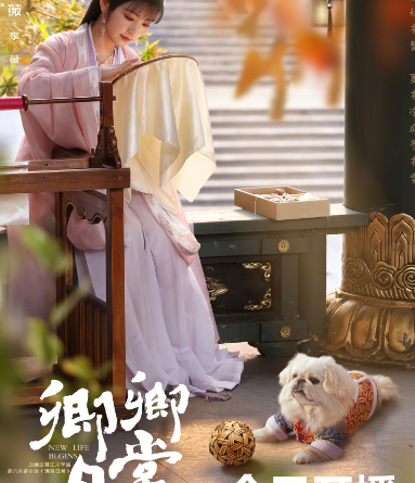 경경일상 리뷰 후기